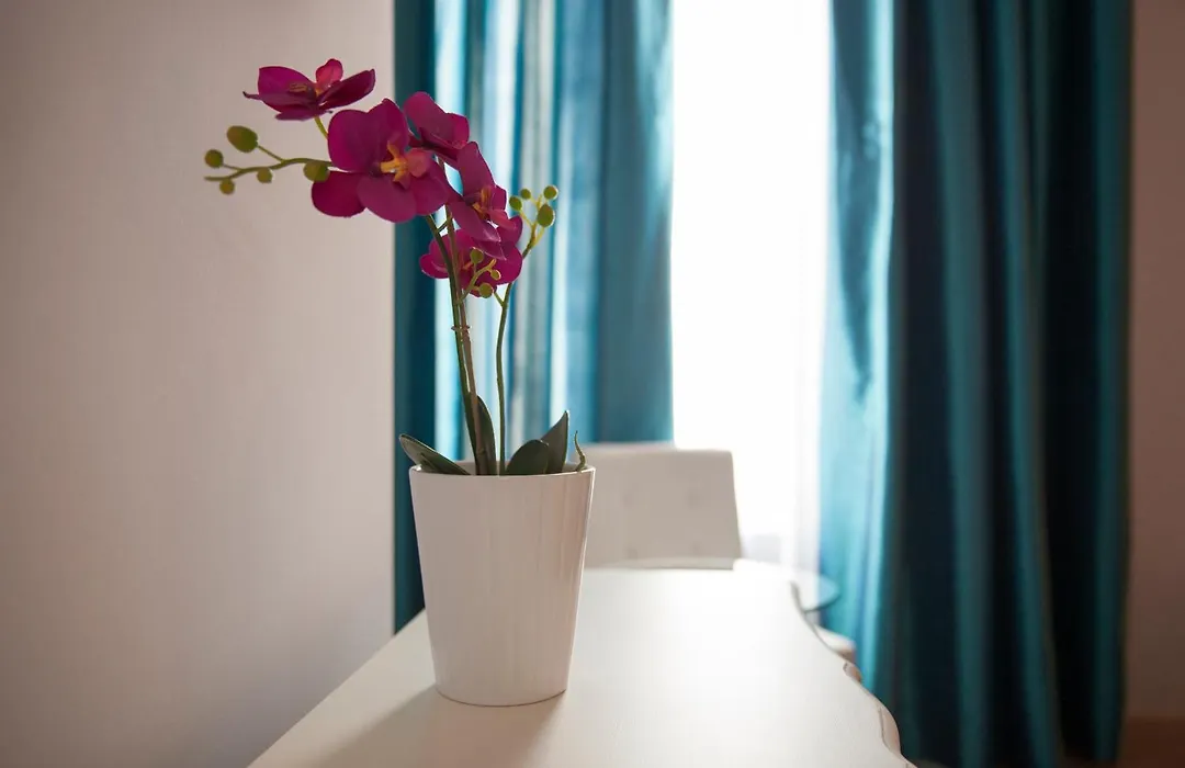 Umma Barcelona B&B Boutique-1